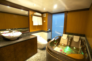 Emotion Cruise Bathroom