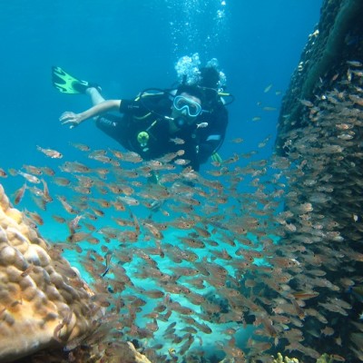 Nha Trang Diving and Snorkeling half day 3