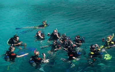 Nha Trang Diving and Snorkeling half day