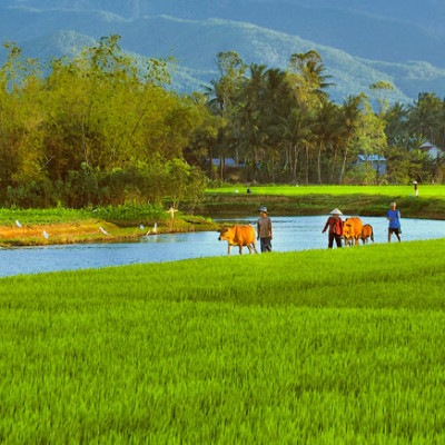 Nha Trang Experience Coutryside and relax