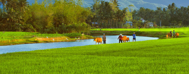 Nha Trang Experience Coutryside and relax