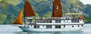 Phoenix cruise  halong bay