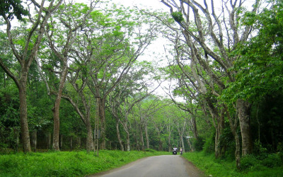 Cuc Phuong park Ninh Binh