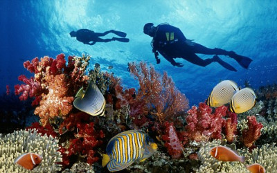 Diving tour in Phu Quoc island 2