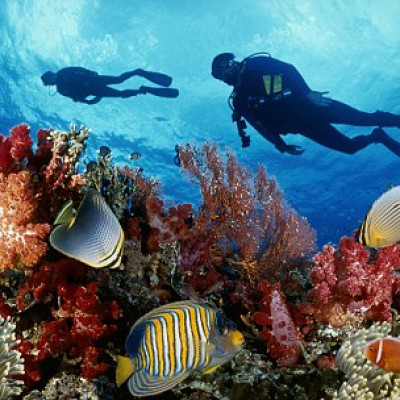 Diving tour in Phu Quoc island 2